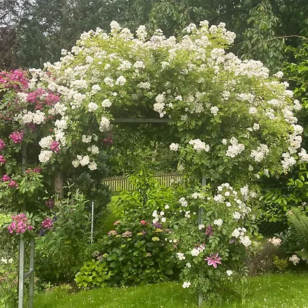 Apartament Kleine Flora - *