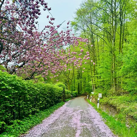 Kleine Flora -