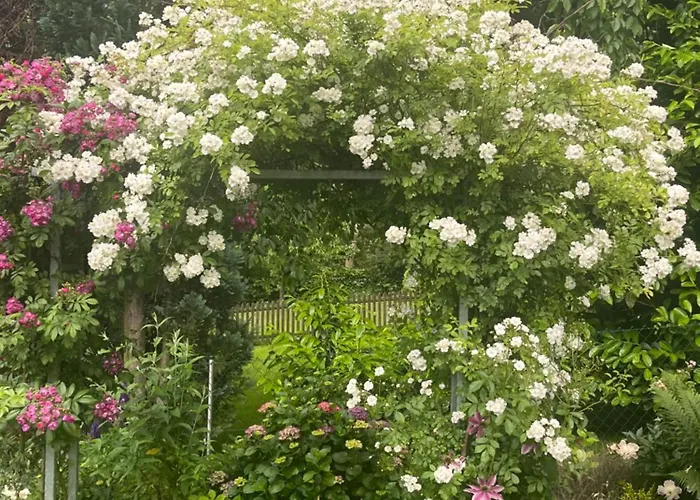 Appartement Kleine Flora - *